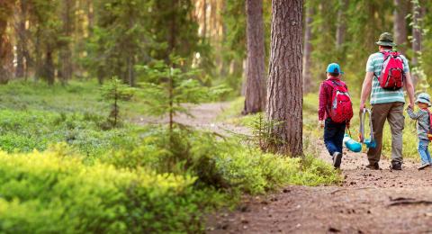 A family of three walks down a trail in the woods, ready to go camping. A young child looks back at the photographer