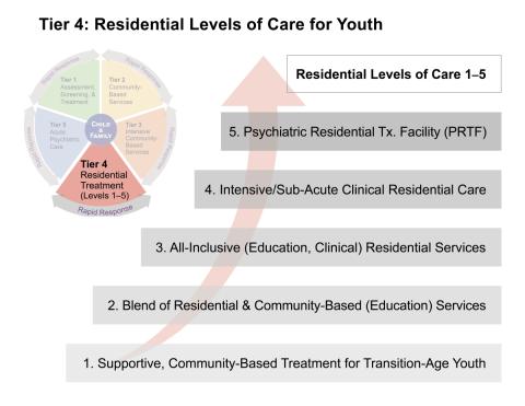 An infographic of the Tier 4: Residential levels of care for youth listed on this page